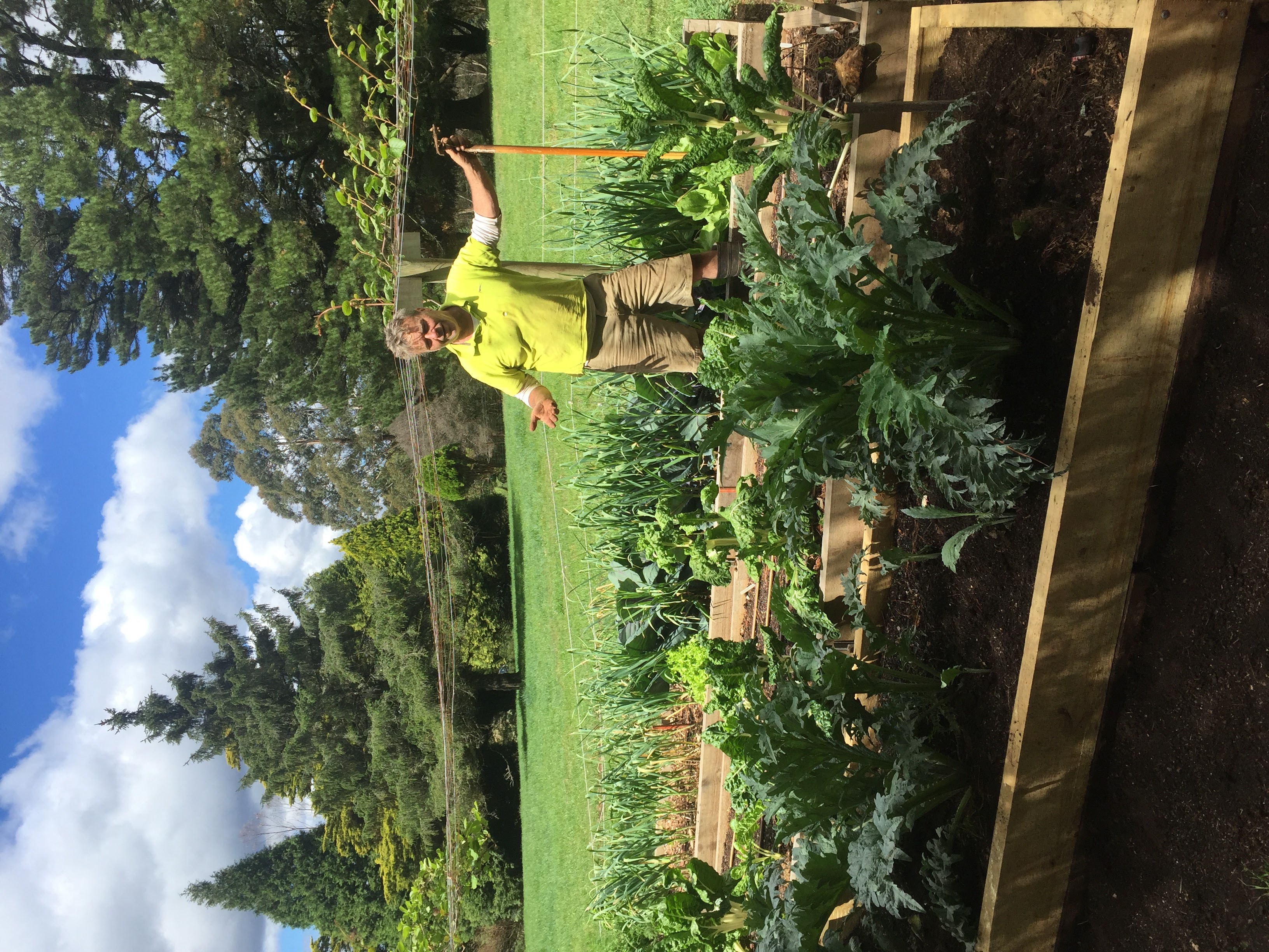 Vegetable Garden Gordon.